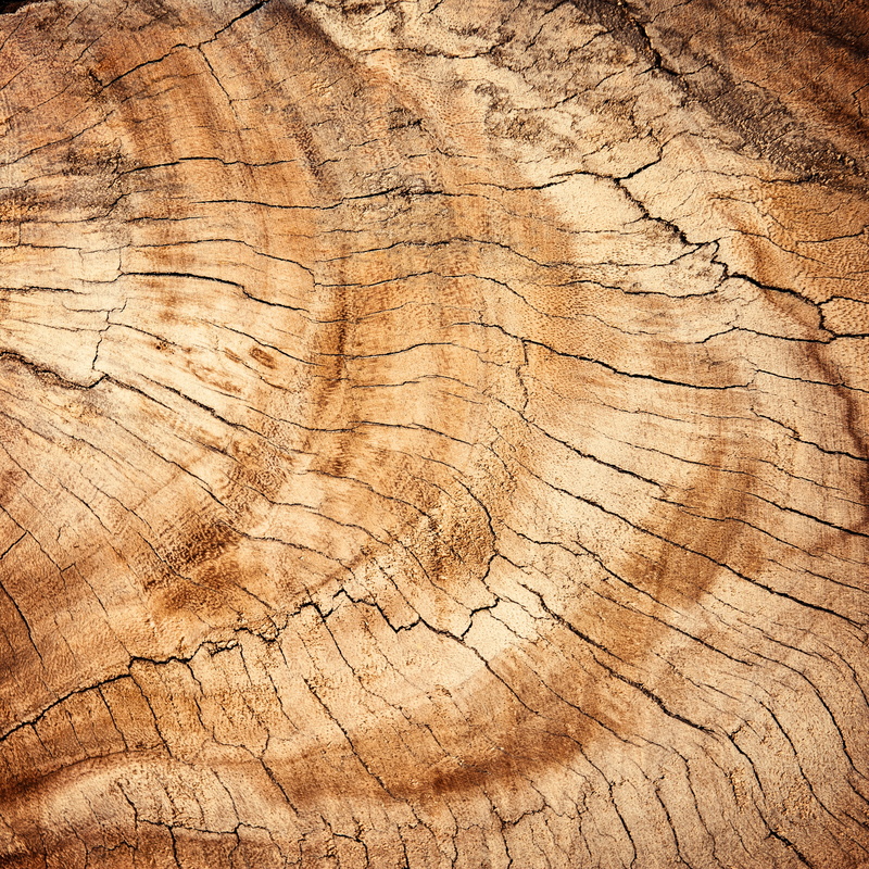 brown, dark, wood grain, tree stump, wood, decor, oak, background, wooden, antique, grain, cracked, pattern, decoration, backgrounds, forest, backdrop