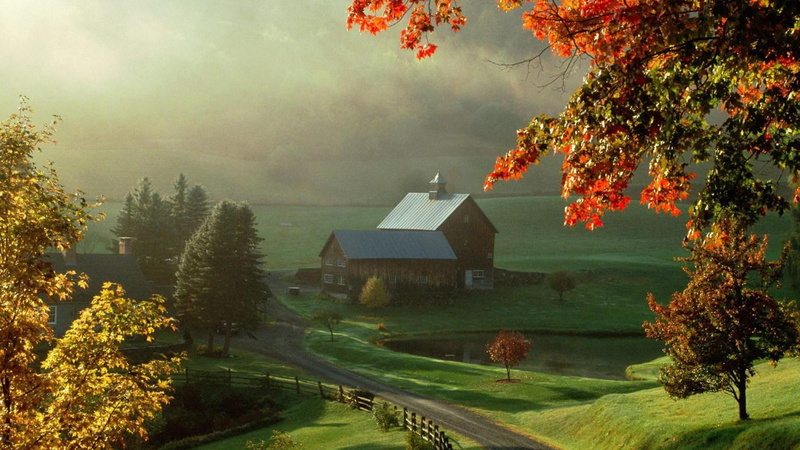 green, pond, farm, autumn, barn, 1080P, painting, nature and landscapes, lovely, house, road