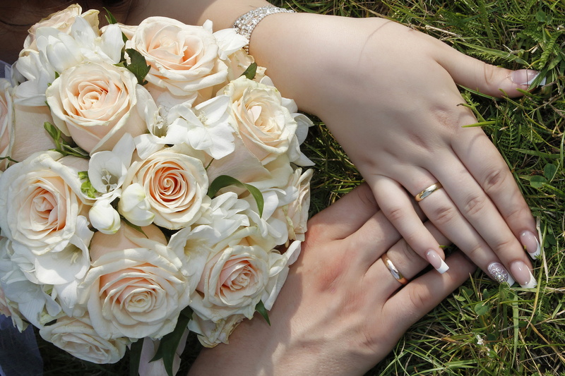 nature, beauty in nature, flowering plant, just married, hand, adult, rings, rose, the groom, flower, bride, grass, women, white color, plant, rose - flower