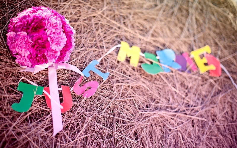 creativity, pink, mood, bouquet, flowers, multi Colored, springtime, toy, text, purple, no People, day, symbol, high angle view, emotion, representation
