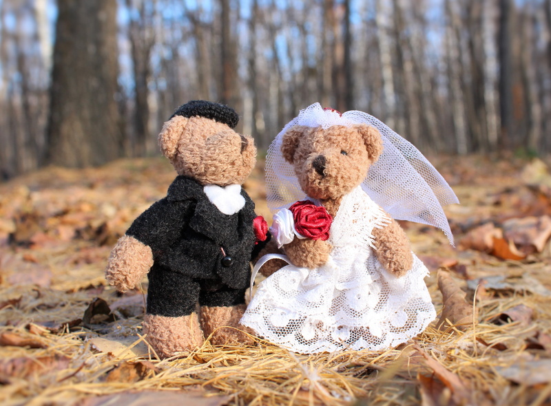 winter, canine, young, land, groom, cute, clothing, holiday, forest, bouquet, two, joy, bridal bouquet, people, domestic animals, family, pets, sweethearts