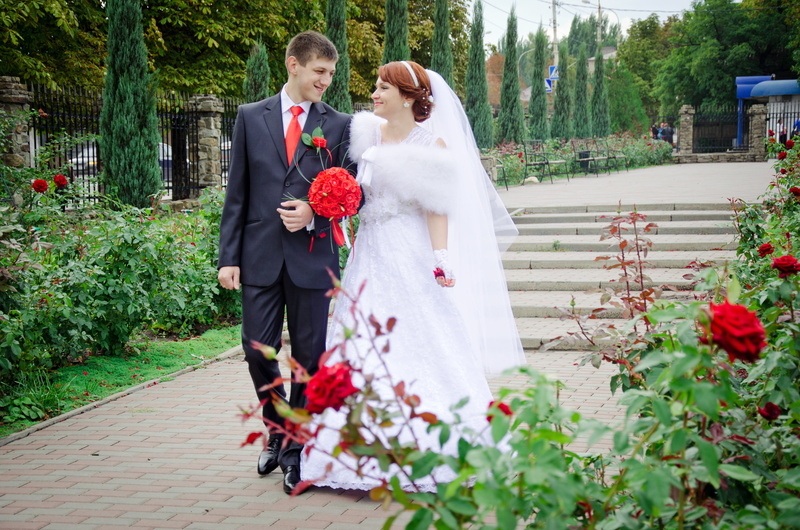 Kiss, beauty, young adult, two people, just married, suit, married, life events, couple, event, woman, men, celebration, walking, plant, love, mood, Bride