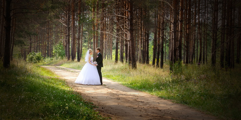 stroll, women, married, standing, tree, road, rear view, people, 5K, man, outdoors, adult, wife, young adult, young women, forest, hairstyle, females