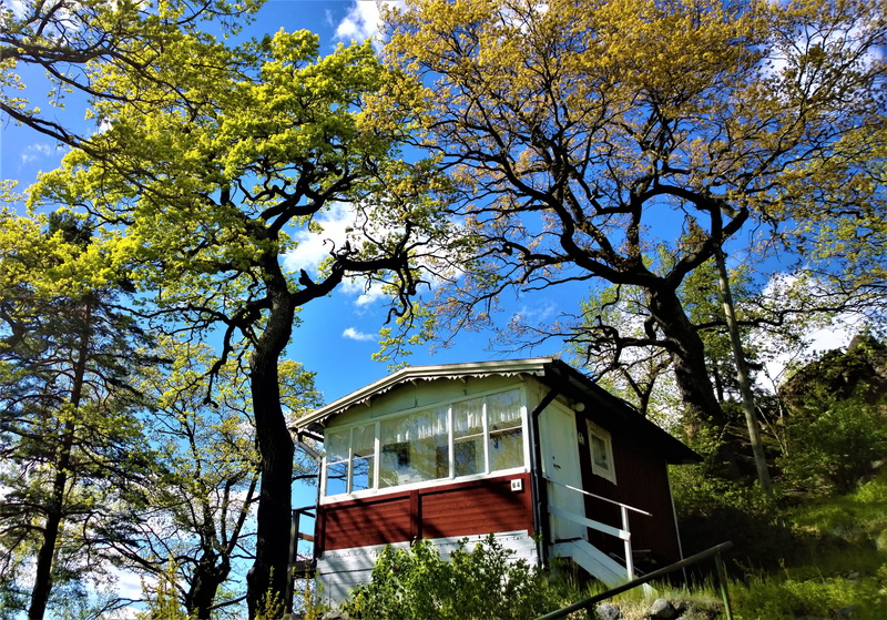 low angle view, building exterior, house, land, torp, forest, outdoors, cabin, greenery, view, outdoor, sweden, balcony, travel, holiday village, architecture