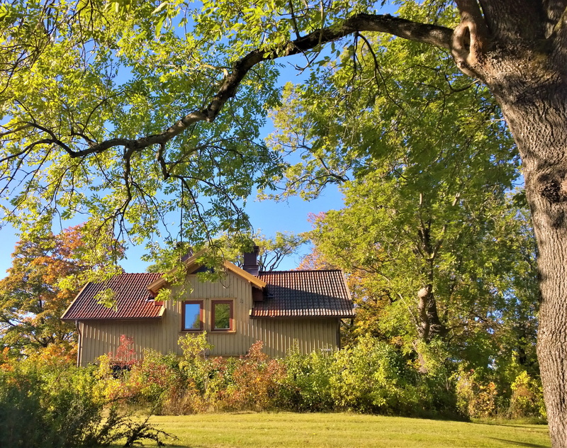 built structure, yellow leaves, tranquility, building, day, blue sky, wood, garden, villa, hardwood, outdoors, nature, sunlight, land, autumn colors, beautifully