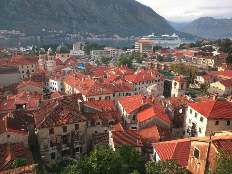 downtown, high angle view, vocation, kotor, townscape, nature, tradition, europe, urban, community, hills, buildings, unesco, beautiful, town, tourism