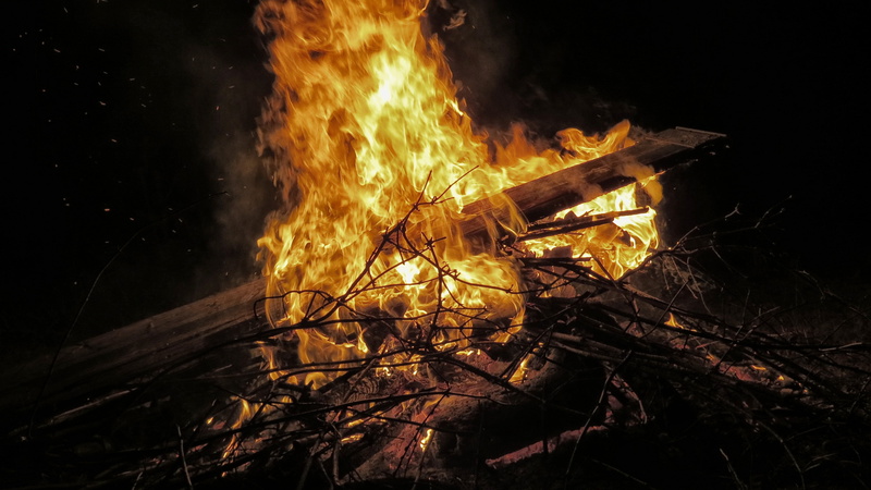 hot, nature, tree, charcoal, heat, branches, fire - Natural Phenomenon, wood - material, camping, flame, warmth, glowing, campfire, wood fire, wood, no people