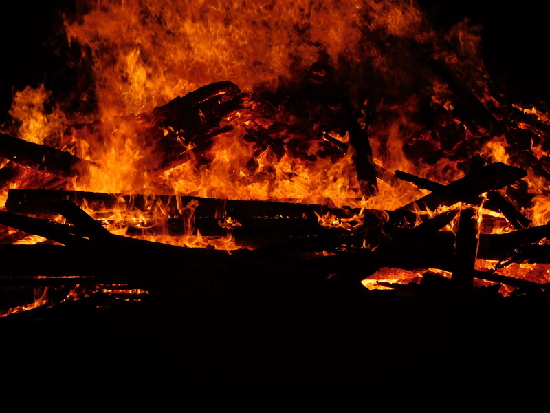 burnt, warmly, wood fire, firewood, red, nature, ash, heat, outdoors, tree, burning wood, blaze, heat - temperature, bonfire, orange color, communication