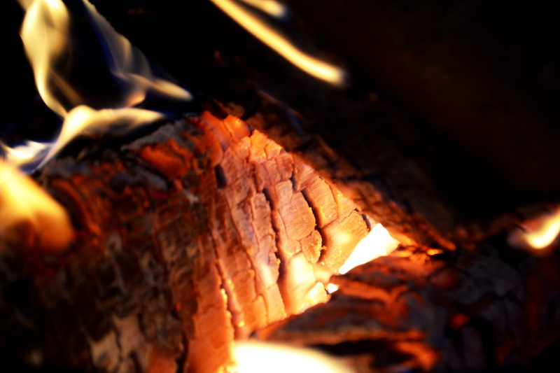 warmth, timber, firewoods, charcoal, firewood, energy, glow, outdoors, burnt, nature, close-up, orange color, temperature, bonfire, wood - material, ash