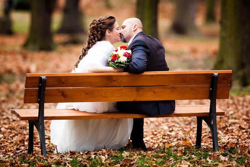 Bench, seat, golden autumn, autumn, people, 5K, caucasian Ethnicity, females, bride, park bench, Leaves, Autumn, bridegroom, brown, young adult, cheerful