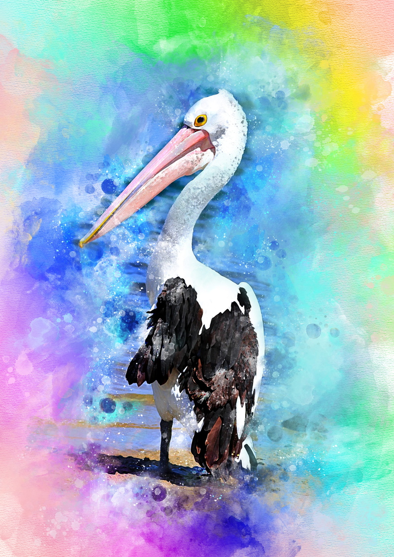 blue, head, krupnyj plan, wildlife, pelican, nature, zoo, bird, water, plumage, no people, splashing, close-up, digital art, digital manipulation, auto post production filter