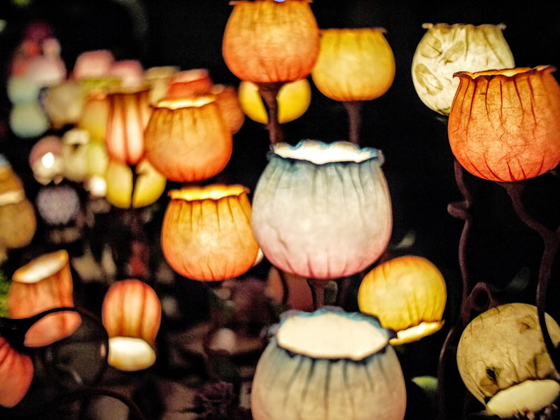 4K, colors, halloween, art, large group of objects, focus on foreground, abundance, still, lighted, studio shot, close-up, jack o lantern, decorative
