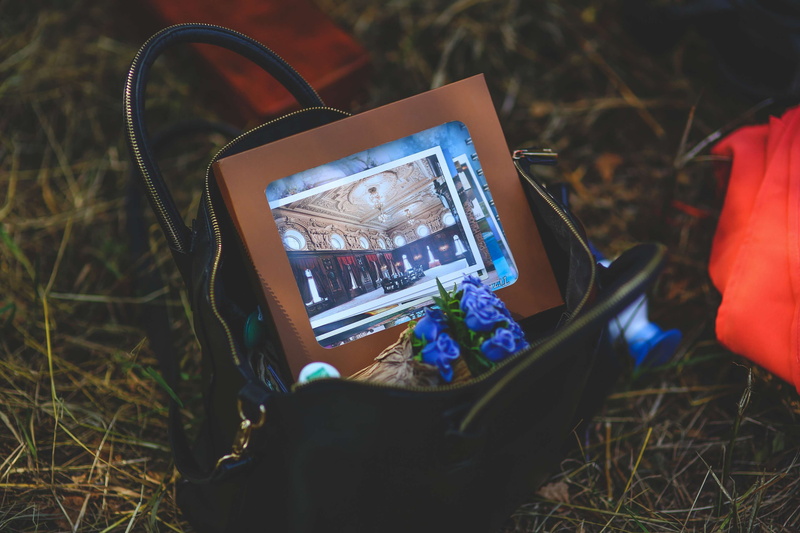 field, activity, photos, frame, smart phone, land, grass, stuff, wireless technology, human body part, communication, tree, 4K, plant, portable information device