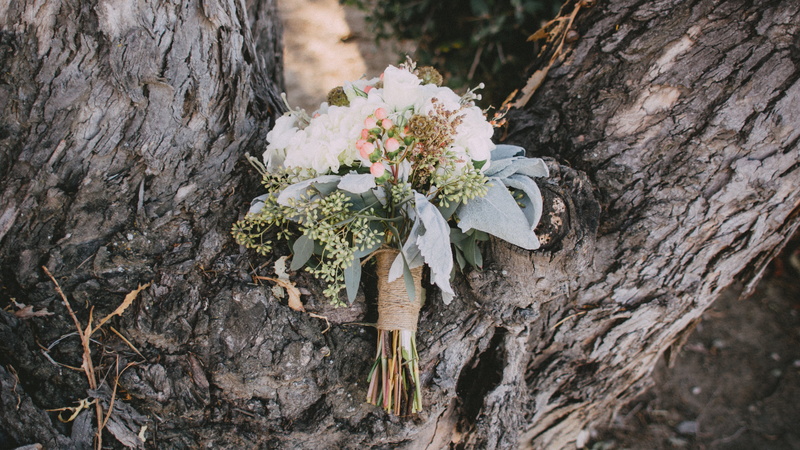 trunk, tree, close-up, wood - material, 5K, growth, wrap, wood, flower, beauty in nature, wedding, bark, no people, ribbons, white color, things, focus on foreground