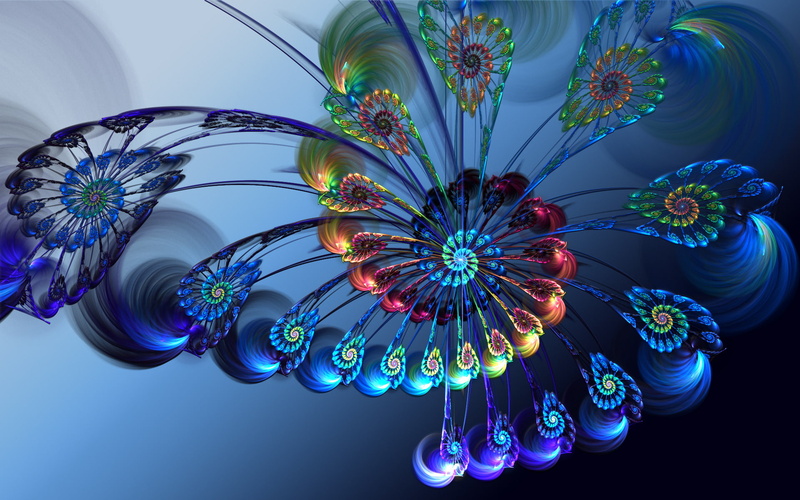 by dragonfly113, thing, rainbow flower, 1080P
