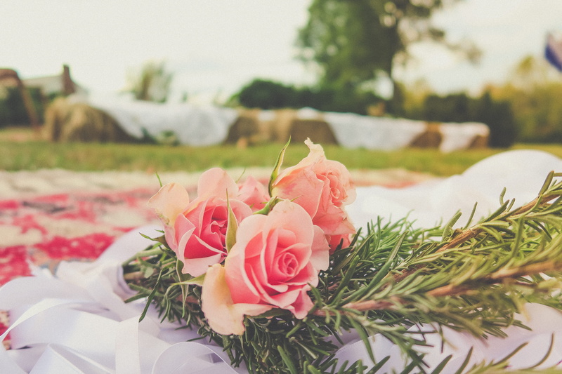 scottsville, beauty in nature, flowering plant, background, no people, flowers, floral, flower arrangement, event, 5K, objects, props, rose, girl, nature