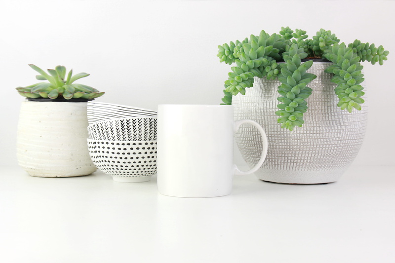 wellbeing, food and drink, graphics, healthy eating, leaf, glass, succulent, fruit, white, nature, flower, blossom, white color, art, surface, pattern