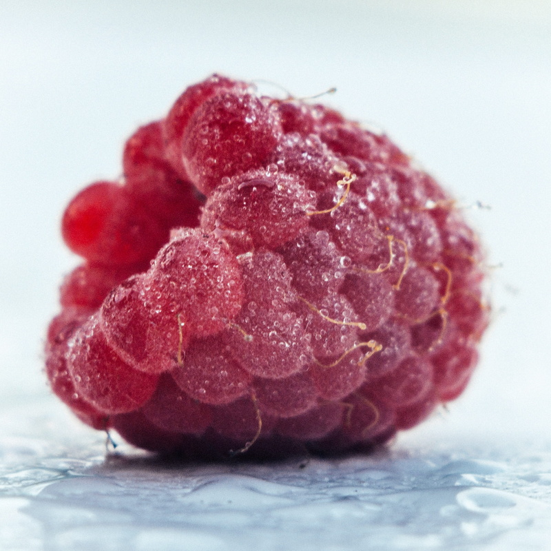 2K, food, ice, berry Fruit, sweet, refreshment, macro, studio shot, nature, raspberries, frozen, close up, temptation, dessert, pink color, gourmet, red