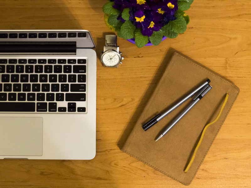 plant, pot, no people, 4K, communication, computer, flowering plant, still life, working, desktop, indoors, macbook, laptop, silver colored, computer equipment