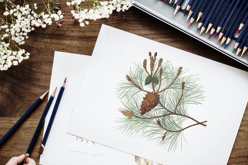 education, art, artwork, 4K, drawing, table, nature, flowering plant, flower, potted plant, illustration, no people, pencil, plant, drawing - art product