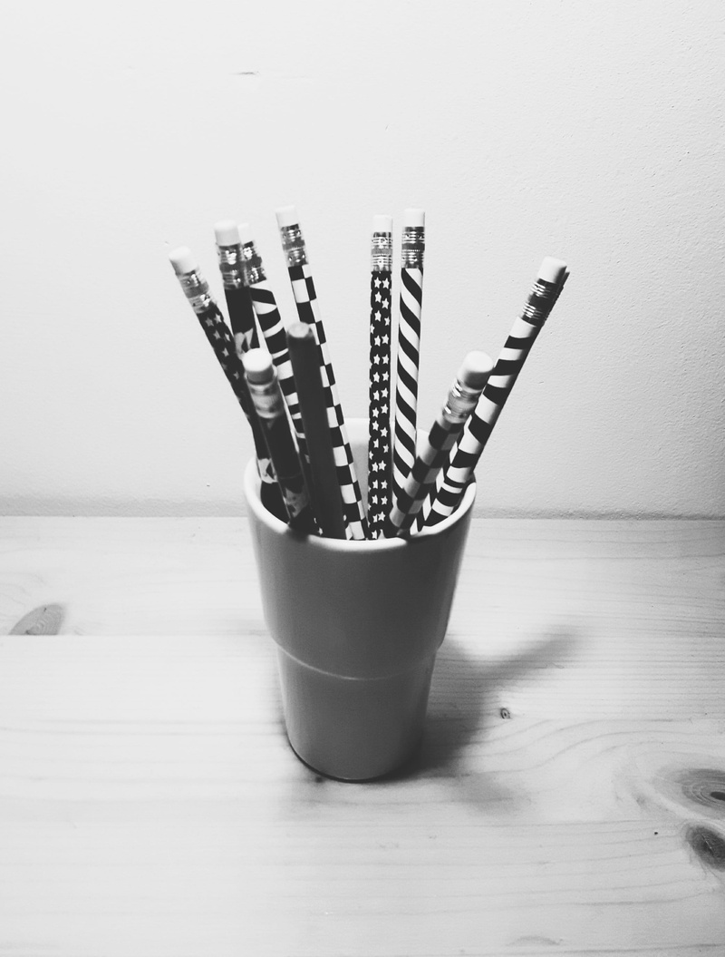 cactus, container, potted plant, growth, office, pencils, drawing, succulent plant, no people, the art of, 2K, desk organizer, figure, office supplies