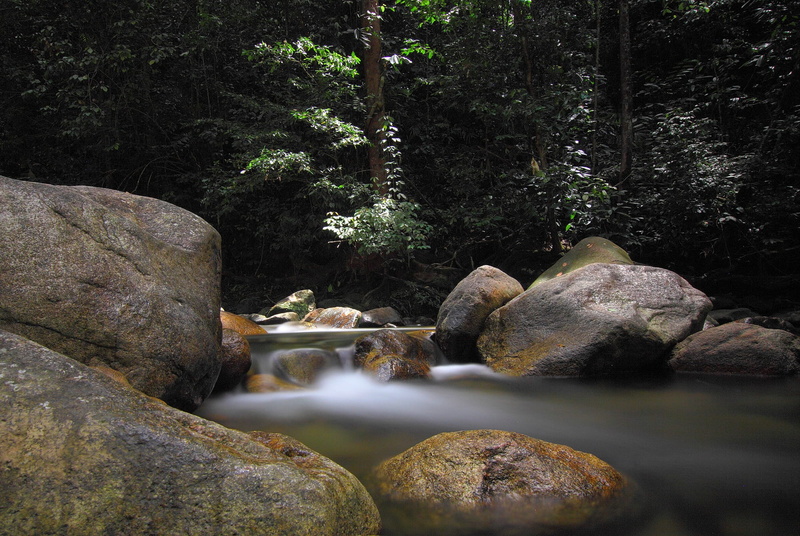tranquility, daylight, land, water, remote, waterfall, stream - flowing water, flowing water, rock - object, tree, no people, 1080P, nature, beauty in nature