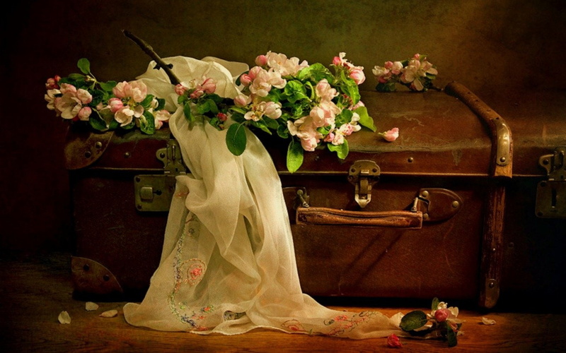 720P, Still Life, Scarf, Photography, Flower, Vintage, Suitcase