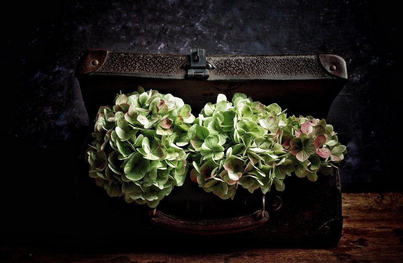 flowers, bouquets, vintage, suitcase, 1080P, hydrangea