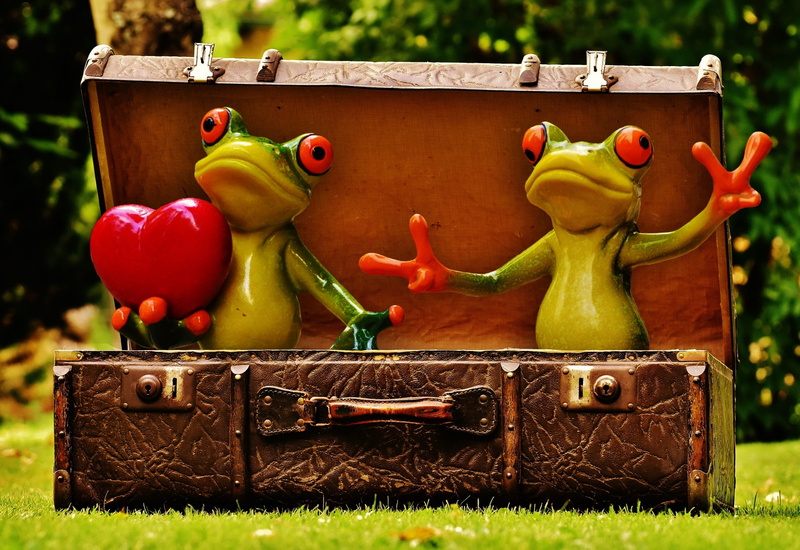 human representation, food, box, frogs, no people, green color, homesickness, nature, figures, craft, luggage, two, wanderlust, 1080P, antique, representation