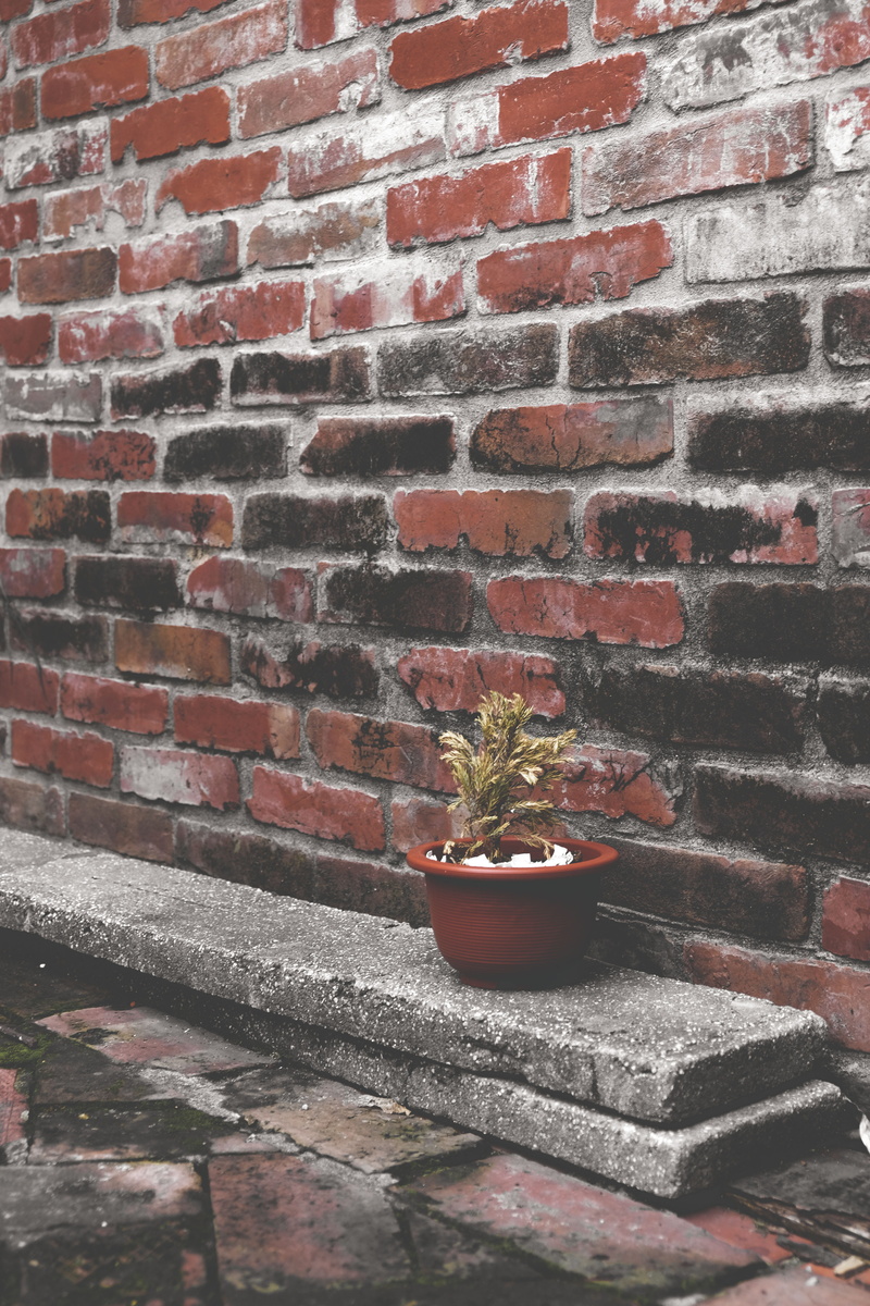 brick, built structure, houseplant, bopiliao historical block, greying, day, red, corner, plantation, still life, wall, staircase, taiwan, architecture