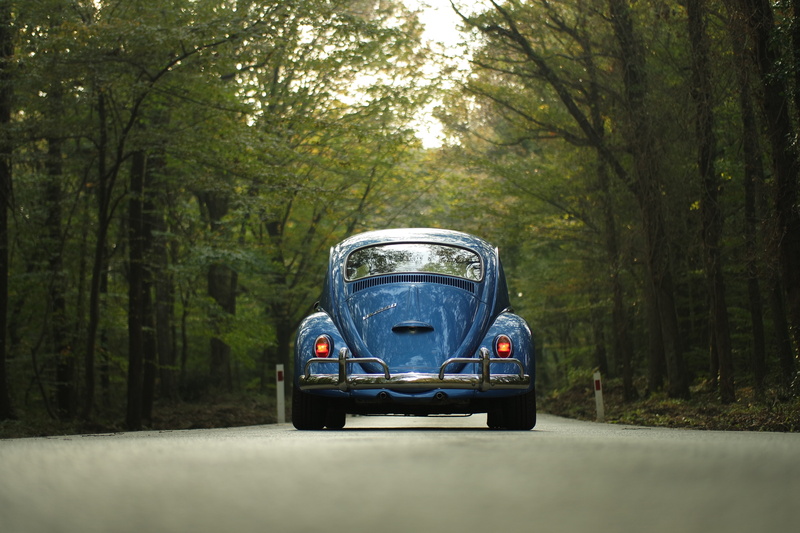 trunk, auto, woodland, car, lease, tree trunk, outdoors, no people, transportation, land, land vehicle, 5K, mode of transportation, nature, day, road