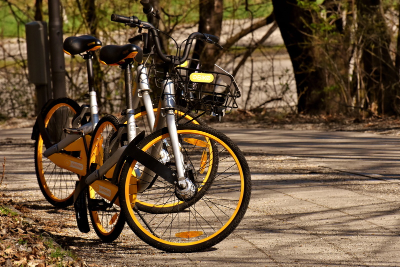 no people, spoke, transportation, obike munich, street, mode of transportation, shadow, day, rent, land vehicle, plant, gray, city, tree, outdoors, city bike