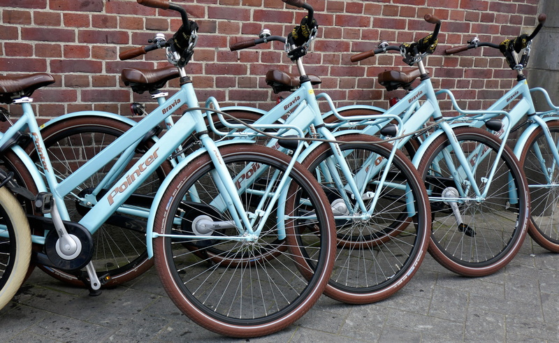 cycling, city, on the go, teal, wheel, holland, means of transport, land vehicle, bicycle tour, mode of transportation, wall, borrow, mobility, standing