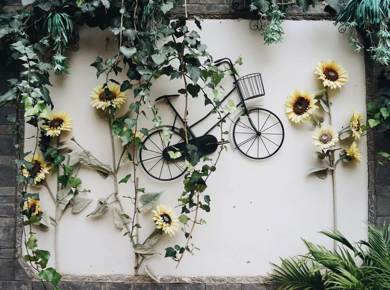 wall, brick, retro, bike, transport, white, growth, outdoors, clothing, potted plant, biking, no people, protection, day, wall - building feature, wheel