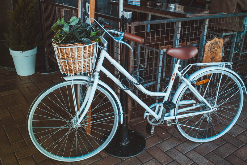 built structure, vehicle, architecture, land vehicle, wood, bike, cyclist, street, plant, bicycle, transportation system, spoke, vintage, saddle, basket