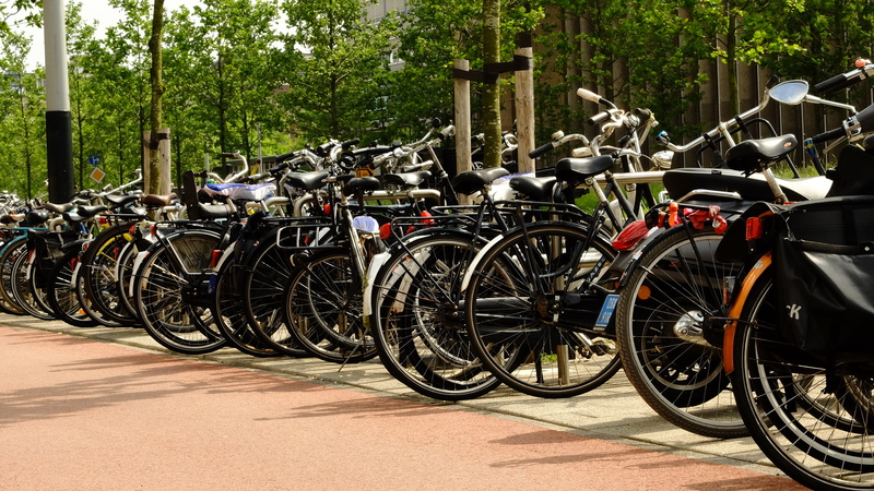 land vehicle, ecological, mode of transportation, stationary, city, urban, bikes, outdoors, transportation, netherlands, sunlight, chic, eco, tree, street
