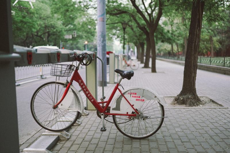 pedal, cycle, transportation, near, day, parked, basket, parking, land vehicle, bicycle, plant, white, cobble, bike rack, mode of transportation, daytime