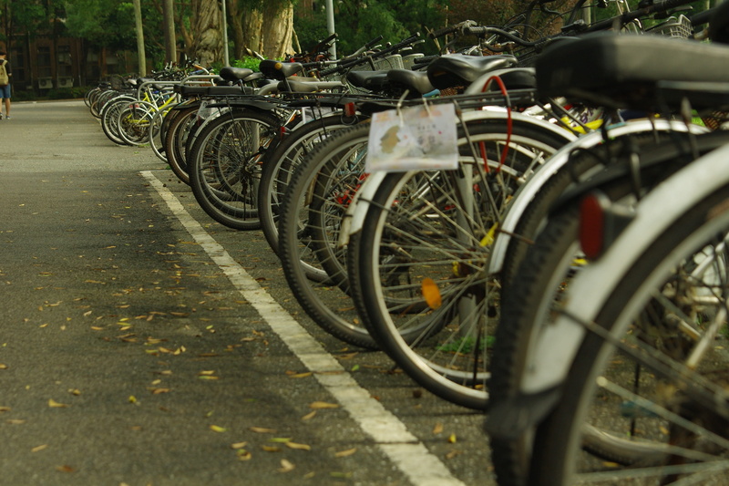 nature, outdoors, tire, bicycle, newnham, transportation, wheel, street photography, stationary, street, 2K, day, parking lot, in a row, spoke, no people
