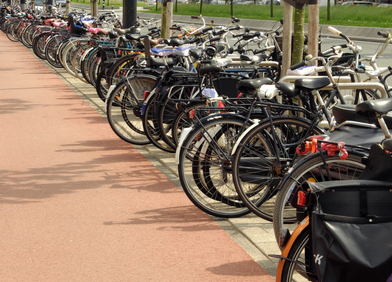 wheels, incidental people, day, amsterdam, sunlight, bike, bicycle rack, wheel, outdoors, land vehicle, transportation, street, parking, 2K, in a row