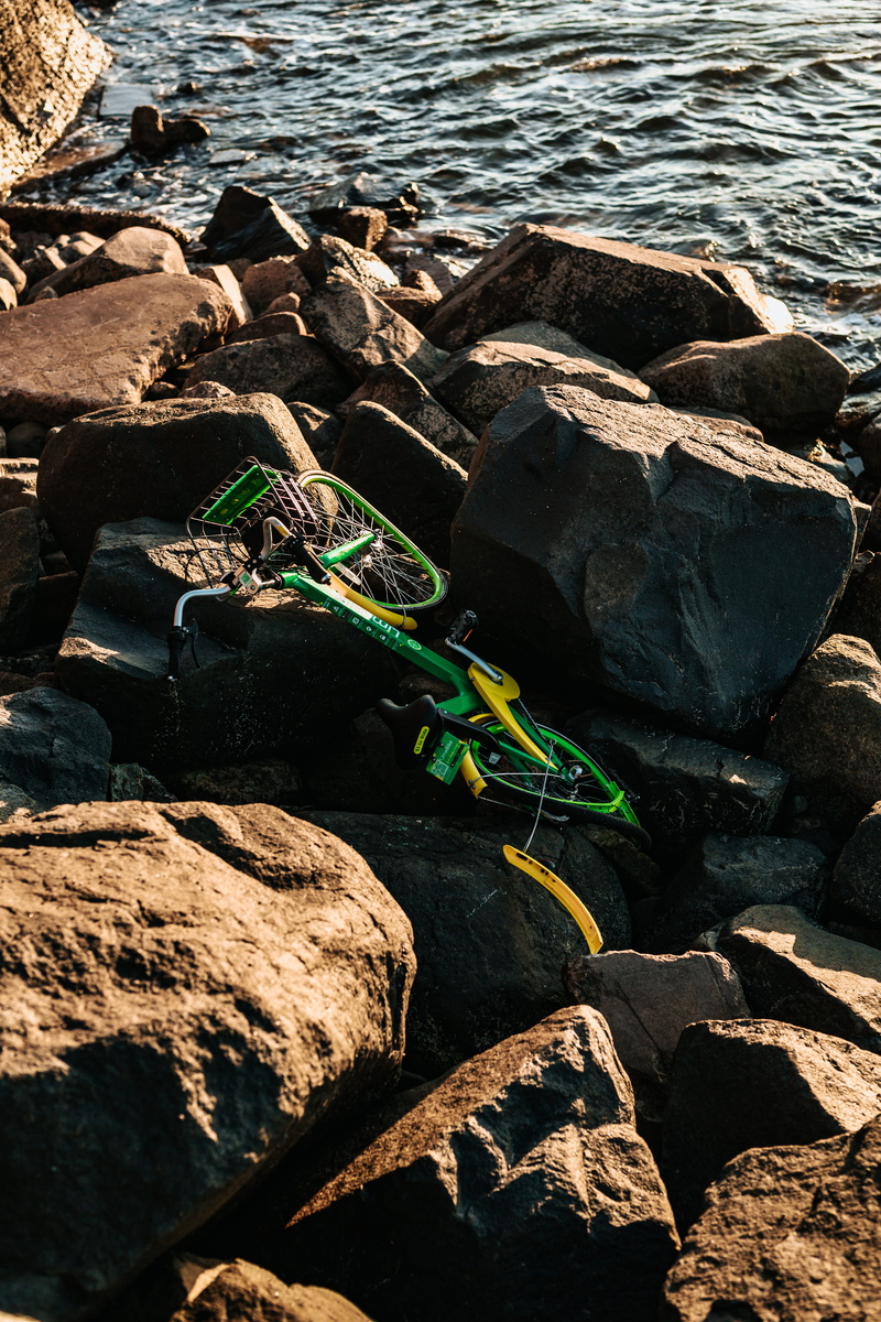 bicycle, rack, body, high angle view, surrounded, solid, tranquility, rocks, day, rock, animal, 5K, sunlight, animal wildlife, nature, beauty in nature