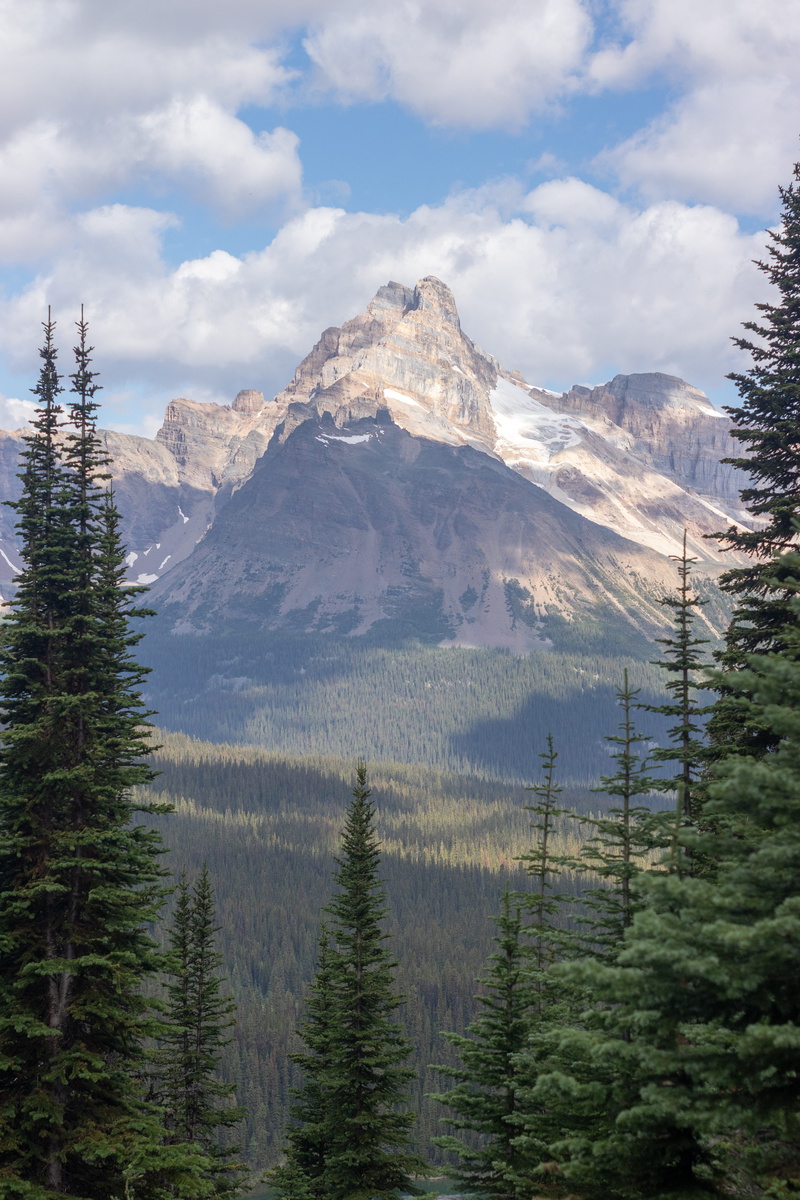 cloud - sky, 5K, green, scenics - nature, canada, plant, landscape, immense, mountain peak, idyllic, tranquility, wilderness, covered, coniferous tree
