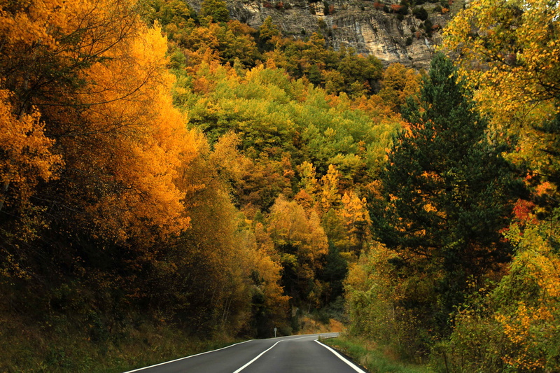 orange color, only, nature, plant, land, transport, marking, road, the way forward, transportation, station, fast, cold, outdoors, tranquility, travel