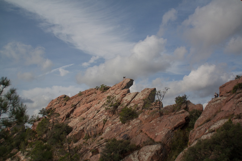 no people, plant, mountain range, tree, outdoors, rock, scalar, tranquil scene, beauty in nature, mountain, scenics - nature, peña, environment, tranquility