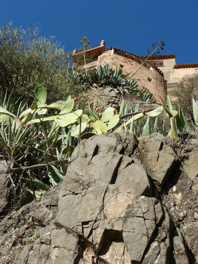 stone house, villa, architecture, old, stones, houses, rock, holiday, day, flowering plant, sky, built structure, leaf, 4K, field, growth, no people, outdoors