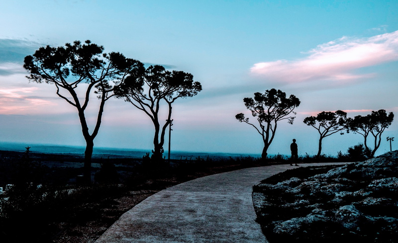 4K, non-urban scene, no people, outdoors, lonely, tree, cloud - sky, land, tranquility, the way forward, scenics - nature, environment, landscape, nature