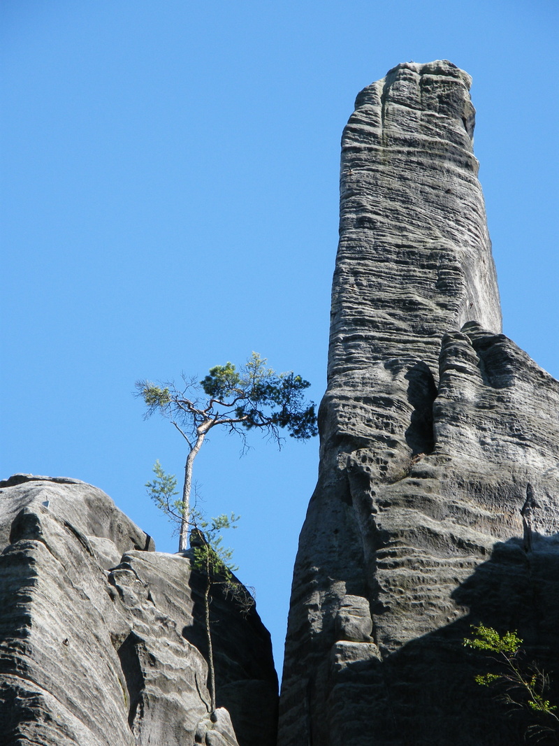 rocks, non-urban scene, rock formation, formation, eroded, day, architecture, plant, low angle view, 2K, travel destinations, rock - object, travel, no people