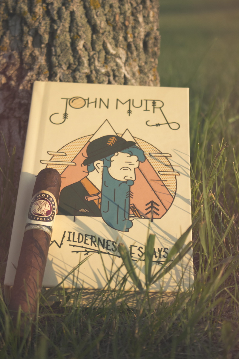 paper, tobacco, human representation, outdoors, hand, focus on foreground, field, western script, sunset, cigar, book, human body part, plant, communication