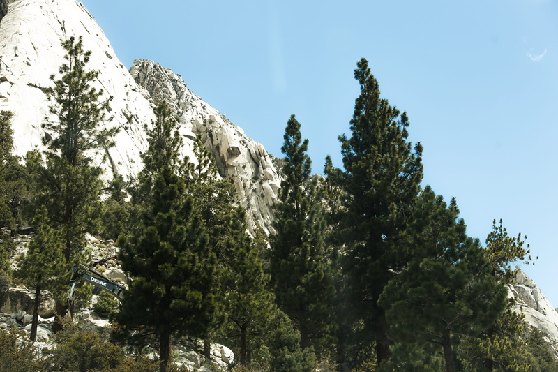 5K, scenics - nature, clear sky, tranquil scene, roadtrip, day, mount whitney, tree, tranquility, wanderlust, pine tree, land, sky, beauty in nature, low angle view