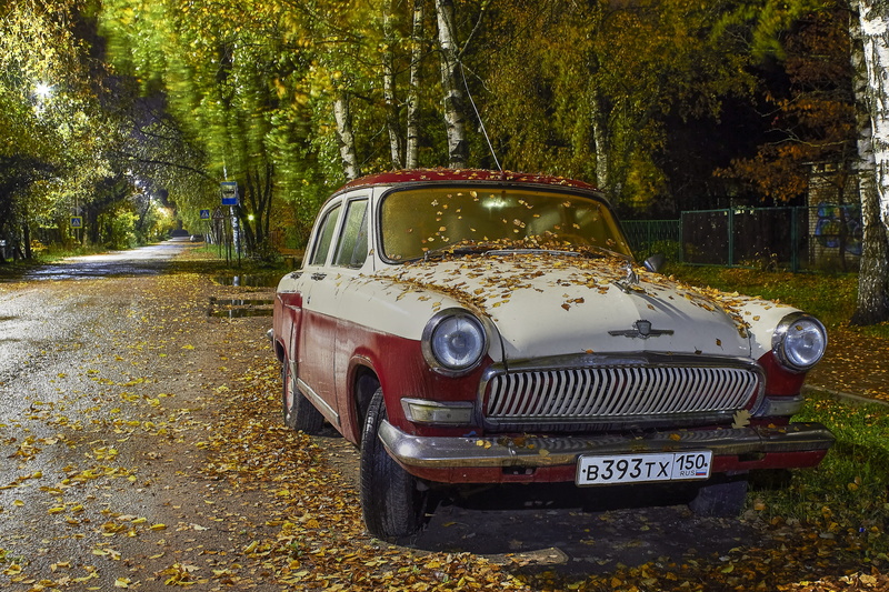 trasport, forest, road, growth, nature, 4K, transport, transportation, land, mode of transportation, old, no people, stationary, plant, retro cars, auto