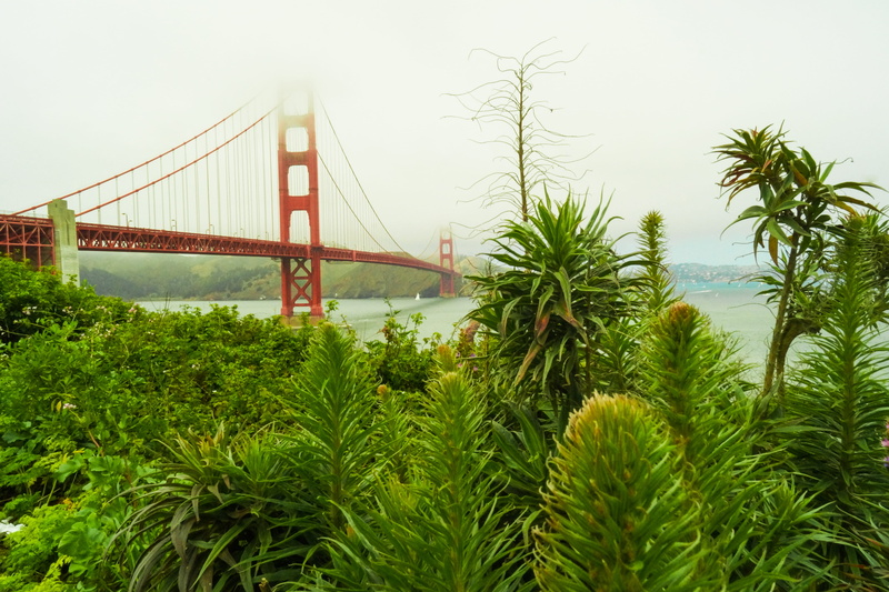 wanderlust, transportation, day, plant, landmark, bay, travel destinations, travel, growth, bay area, sky, explore, nature, suspension bridge, 4K, architecture